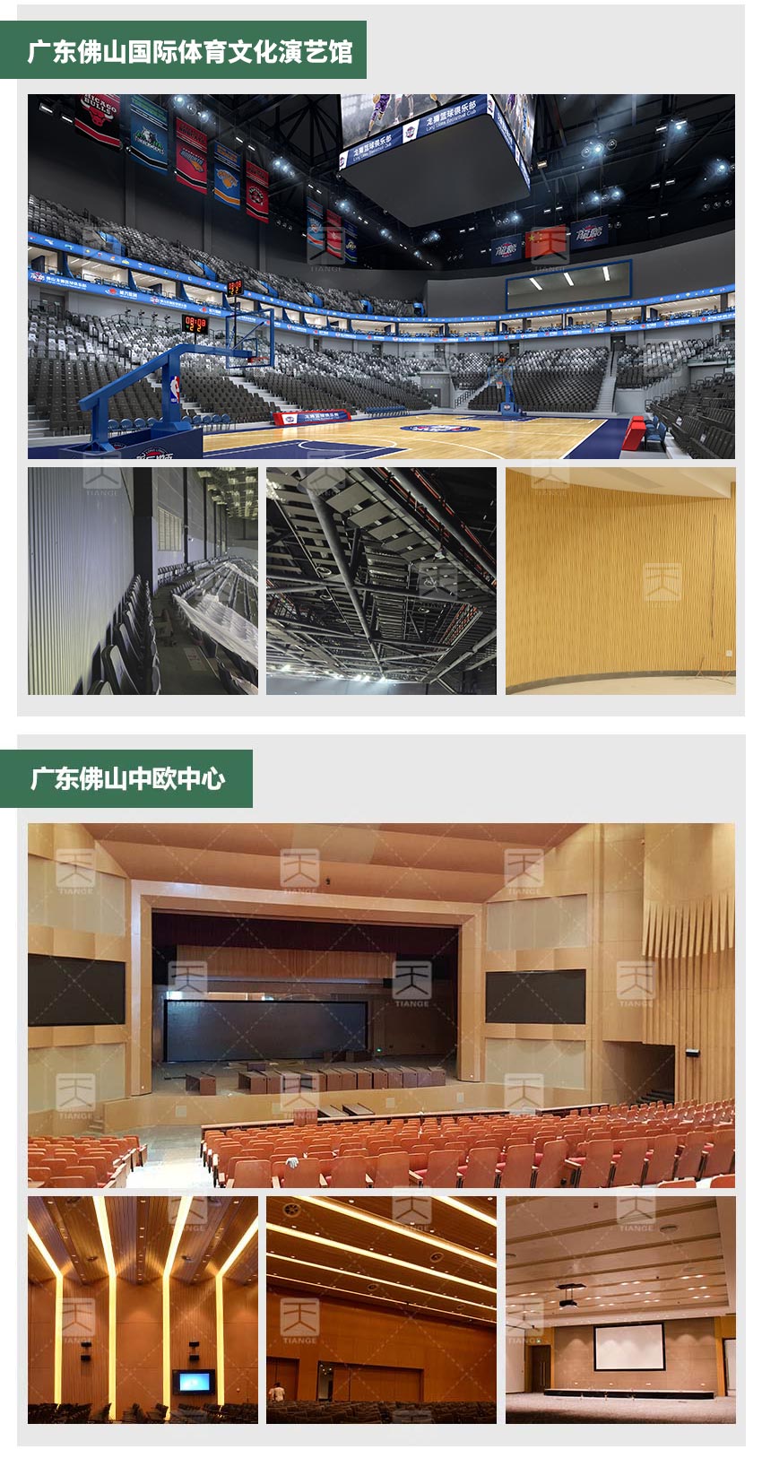 廣東體育館槽木吸音板會議廳工程案例