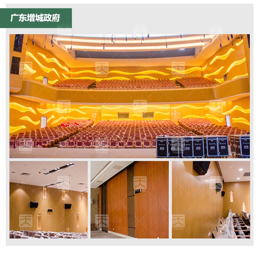 木質(zhì)阻燃吸音板報告廳工程案例