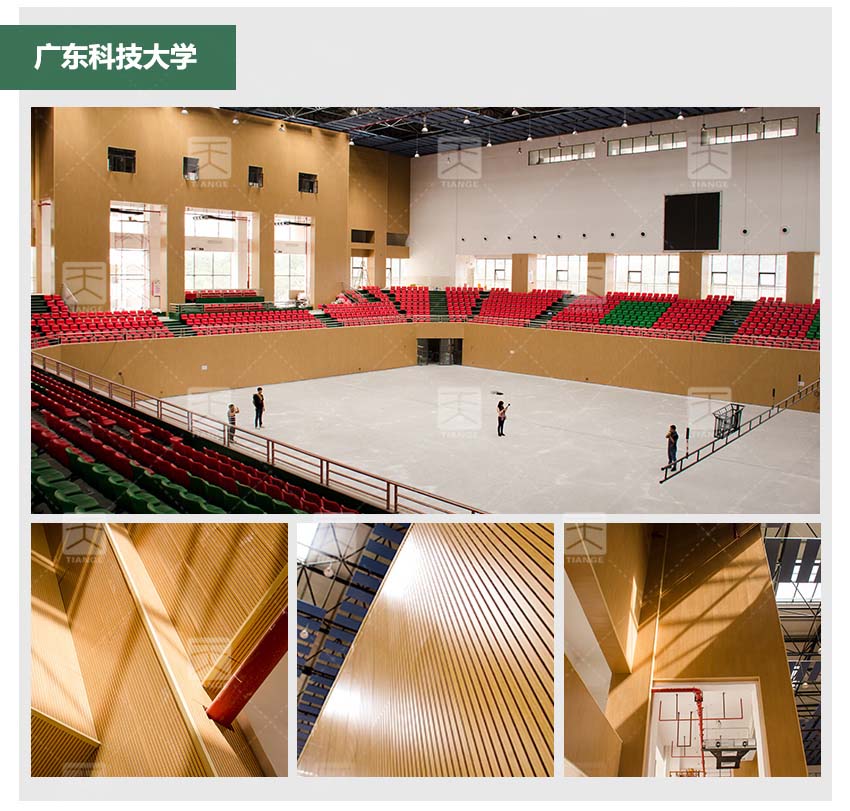 錄音棚槽木吸音板體育館工程案例