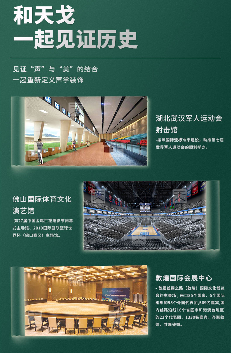 多功能廳堂孔木吸音板