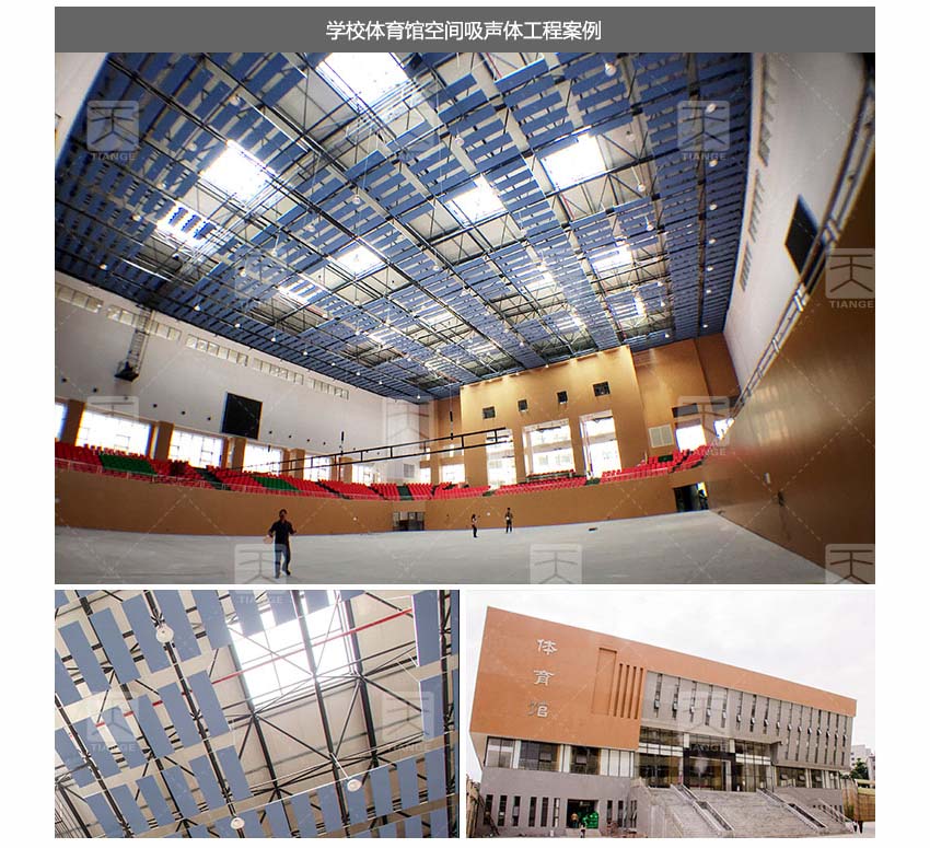 體育館空間吸聲體工程案例-3