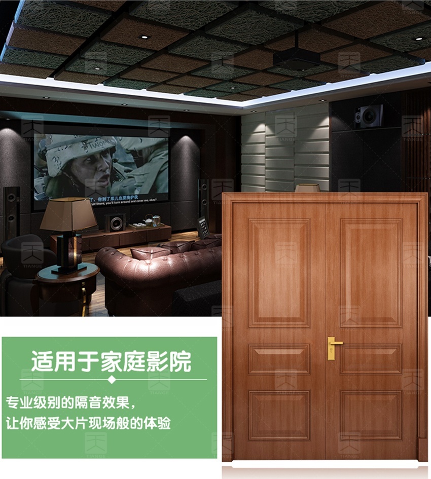 鋼質(zhì)木紋隔音門(mén)-12