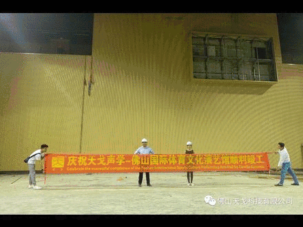 天戈聲學承裝建聲裝飾