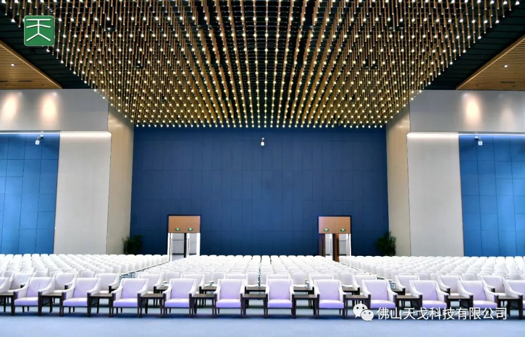 【從化世界生態(tài)設(shè)計(jì)大會(huì)會(huì)議室】