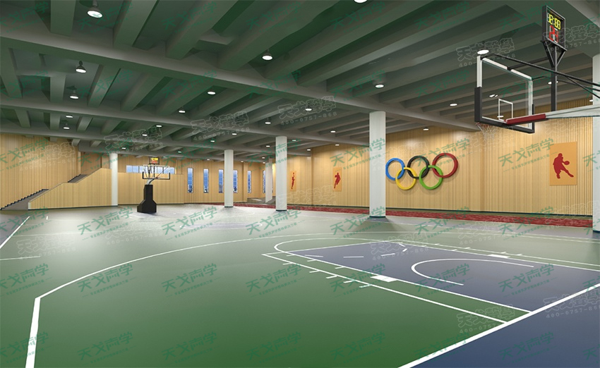 湖南長沙財(cái)經(jīng)學(xué)院體育館聲學(xué)設(shè)計(jì)工程