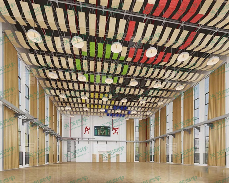 安徽合肥和平小學(xué)體育館聲學(xué)設(shè)計(jì)工程