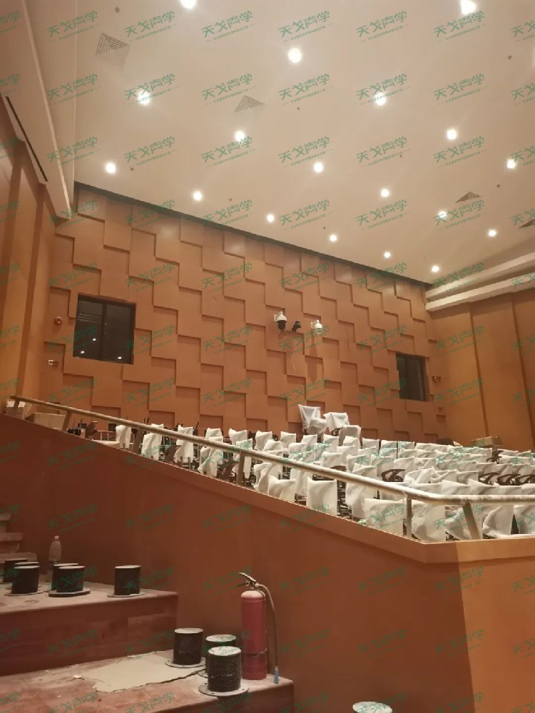 廣東深圳大劇院聲學(xué)設(shè)計(jì)工程